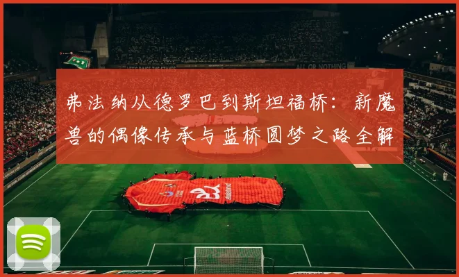 弗法纳从德罗巴到斯坦福桥:新魔兽的偶像传承与蓝桥圆梦之路全解析